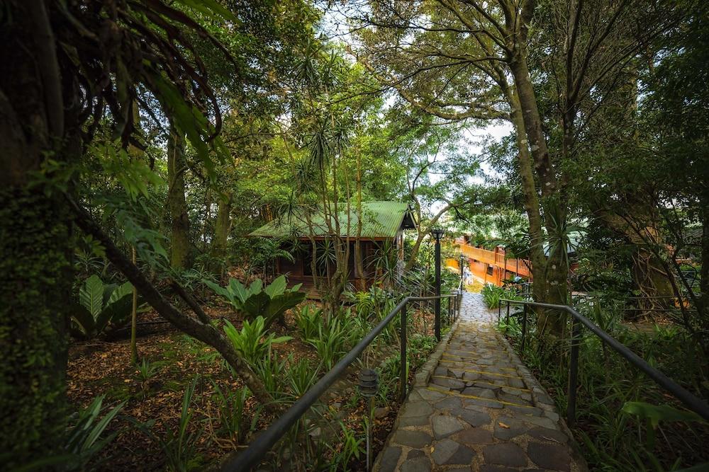 Hotel Heliconia - Monteverde Exteriör bild